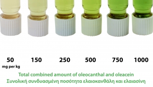 Aristoleo™ Color Index