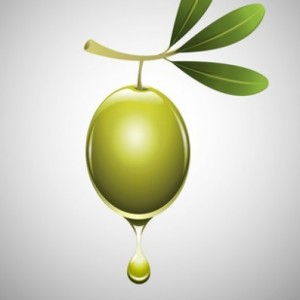 cropped-Fotolia_113353341_XS.jpg