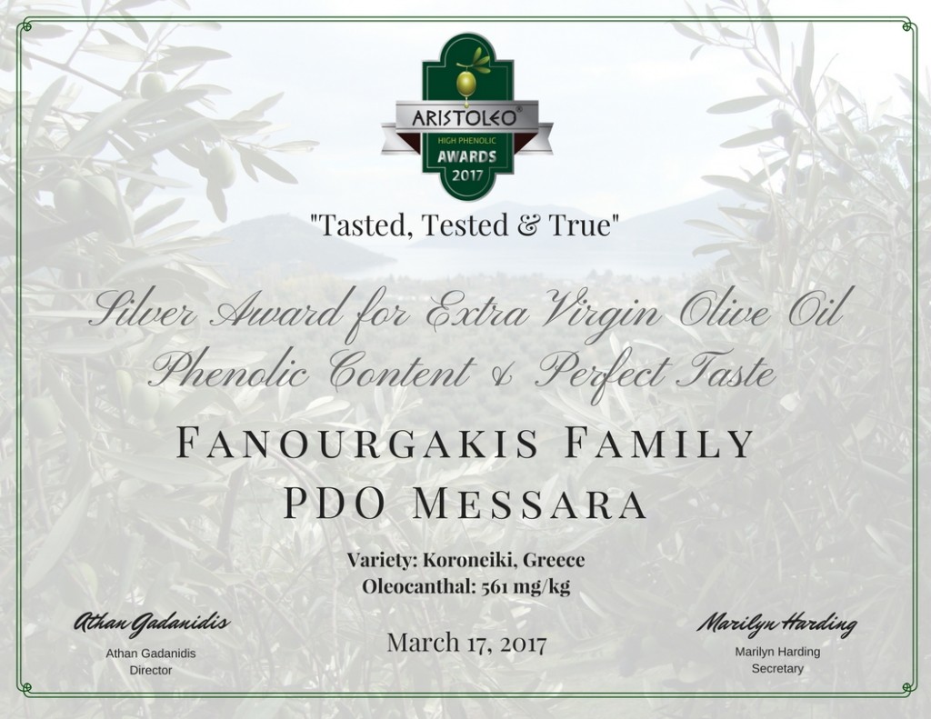 Fanourgakis 