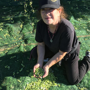 woman with hands full of green olives